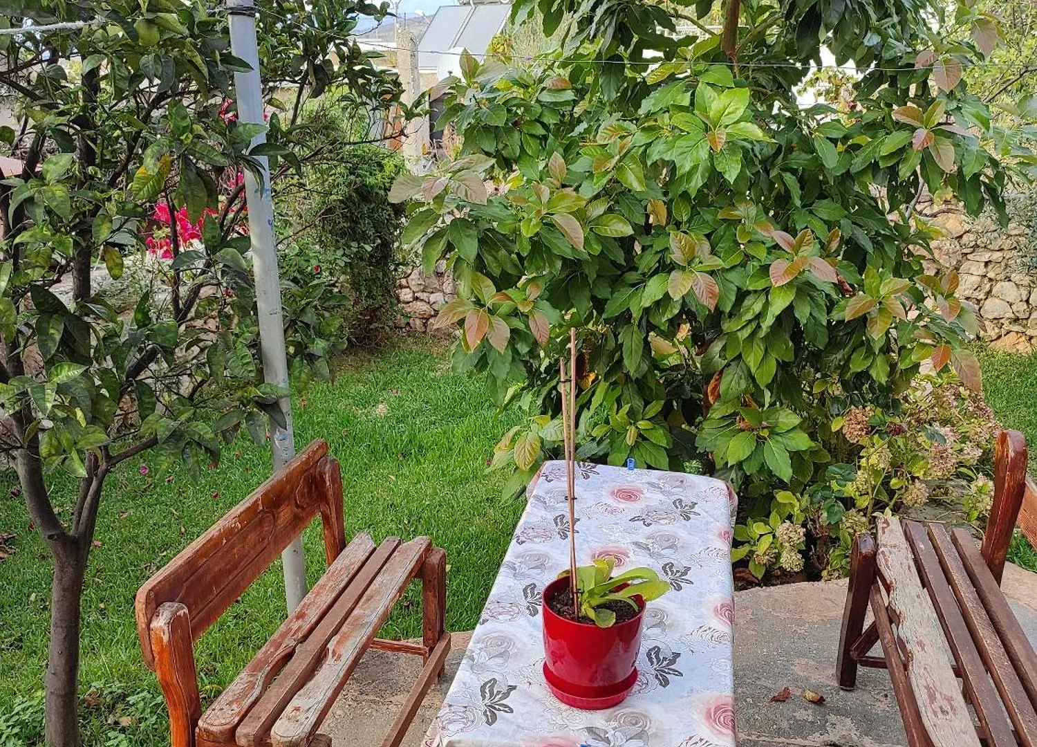 Vila Redstone Apartment Ksamil